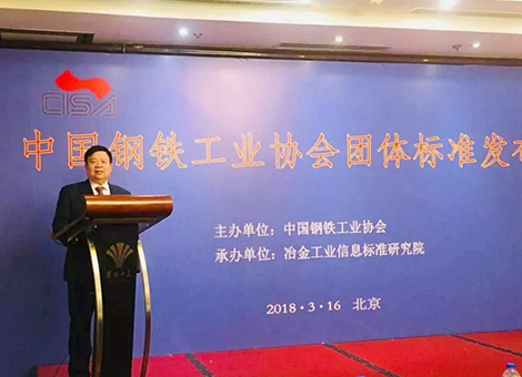 陈董在《中国钢铁工业协会团体标准》发布会的主题发言